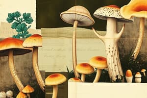 Fungi Characteristics and Ecological Roles