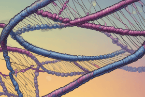 Genetics: Translocation Types and Chromosomal Abnormalities