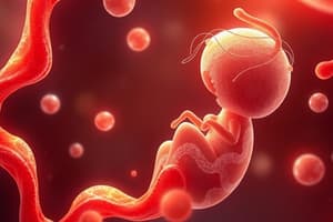 Introduction à l'Embryologie
