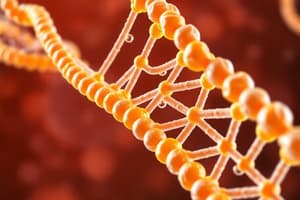 DNA Replication Mechanisms: L5-6