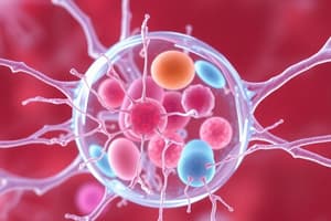 Cytoskeleton and Filaments Quiz