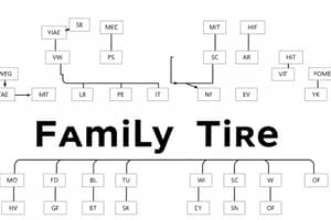 Family Relationships Quiz