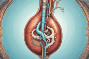 Kidney Regulation of Water and Salt Excretion