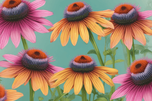 Gibberellic Acid vs Cold Stratification in Coneflower Germination