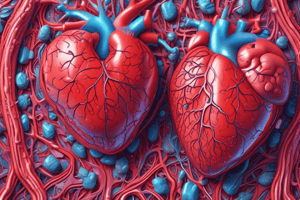 Cardiovascular System Pathology