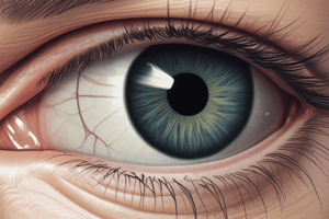 Eye Anatomy Quiz: Extra Ocular Muscles