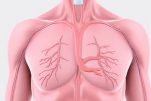 Circulation - Cardiac Conduction & ECG's, Lecture 4