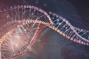 Genetic Code and Codon Properties