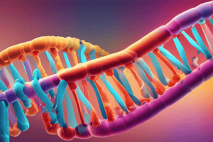 DNA and RNA Structure Quiz