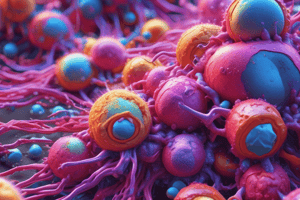 Lymphoid System and Defenses Against Diseases Quiz