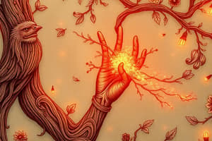 Pharmacology Quiz on Nicotine and Pilocarpine