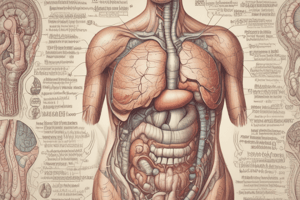 Introduction to Digestive Tract