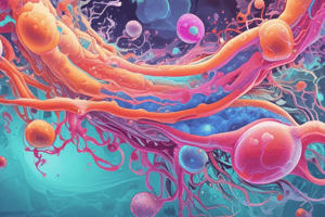 Medicinsk mikrobiologi: Anaerobe Gram-positive bakterier