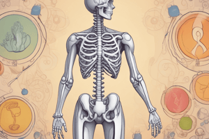 Osteoporosis - Marys section