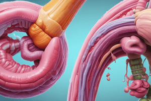 5)Salivary Secretion in Gastrointestinal Physiology