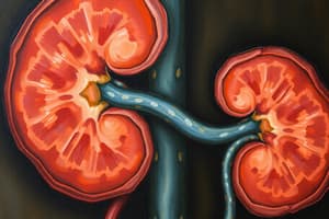 Renal Function and GFR Regulation