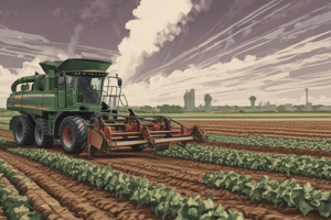 Sugar Beet Harvesting and Sugar Production Process