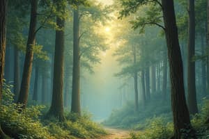 Environment: Protecting Our Forests