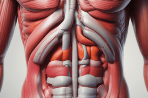 L15: Rectus Sheath Anatomy