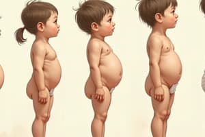 영아기 신체 비율 및 성장 발달 특징