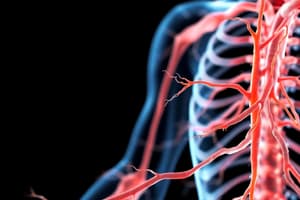 Somatic Nervous System and NMJ