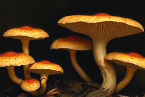 Fungi Morphology and Reproduction