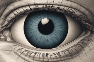 Eye Anatomy: Cornea and Sclera