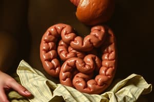 Gastric and Duodenal Disorders