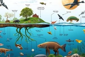 Trophic Levels and Food Webs Quiz