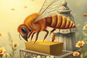 Apiculture: Bee Rearing Basics