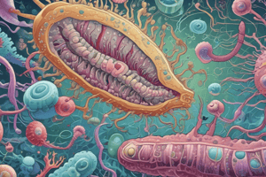 Pseudomonas aeruginosa : caractéristiques et diagnostic