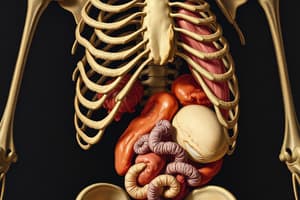 Biology Chapter 6 Organ Characteristics Quiz