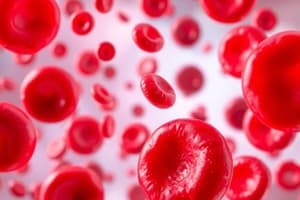 Red Blood Cells: Formation, Function & Blood Types