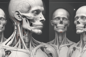 Basic Anatomy Introduction