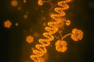 Prokaryotic Gene Regulation and the Lac Operon