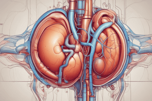 Renal System