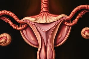 Reproductive System - Advanced Quiz