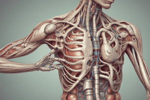 Gr 9 NATURAL SCIENCES: CH 1.2 The excretory system