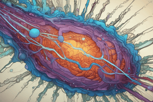 Cell Communication and Signaling