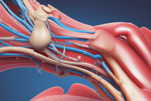 Surgical Treatment of Tenosynovitis