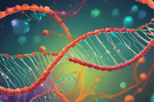 DNA Replication: Lead and Lag Strands