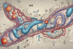 Biology: Insulin Structure and Deficiency