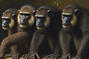 Primate Evolution and Traits Quiz