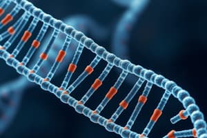 B-DNA Structure and Supercoiling Overview