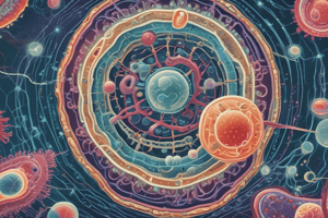 Bacterial Cell Structure