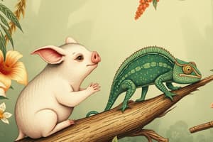 Summary of The Pig And The Chameleon