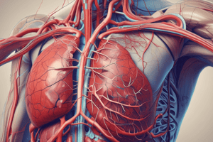 Vascular System Structure and Function Quiz