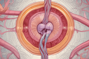 Introduction to the Reproductive System