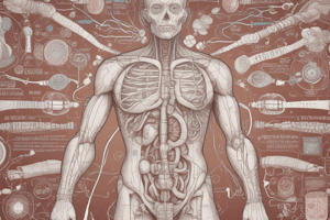 Endocrine System and Diabetes