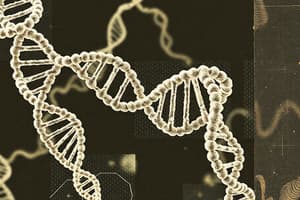 DNA Replication Overview and Steps